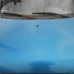 Daewoo OB1 Octsky Blue реставраційний флакон з пензликом ADI UPP - 20мл