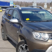 Renault CNW Brun Tenakuru MET. базова автоемаль CarMen - 1л