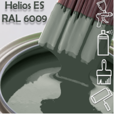 RAL 6009 глянцева 1К швидкосохнуча антикорозійна емаль Helios ES - 1л